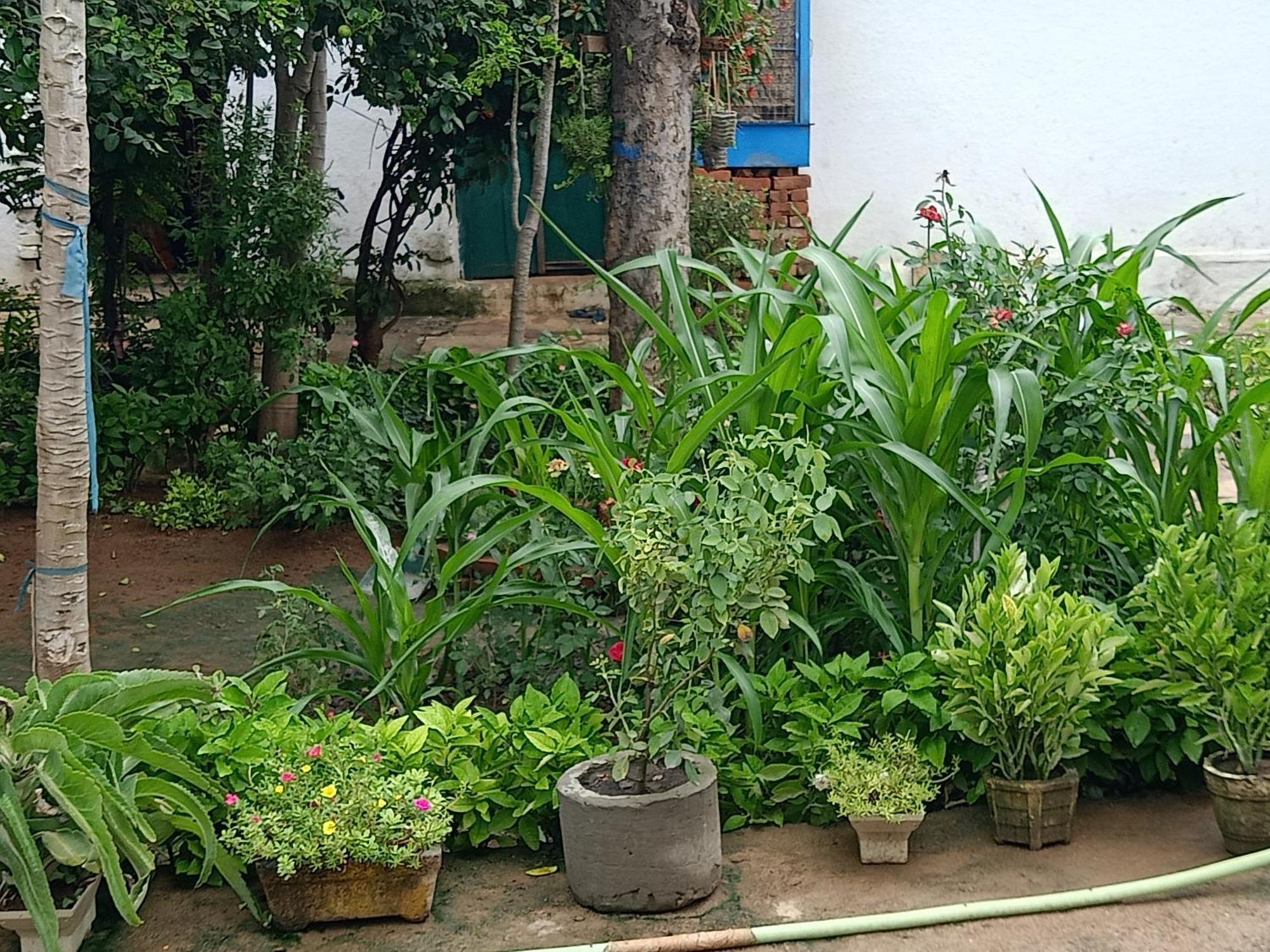 Khajuraho Rancho Leilighet Eksteriør bilde