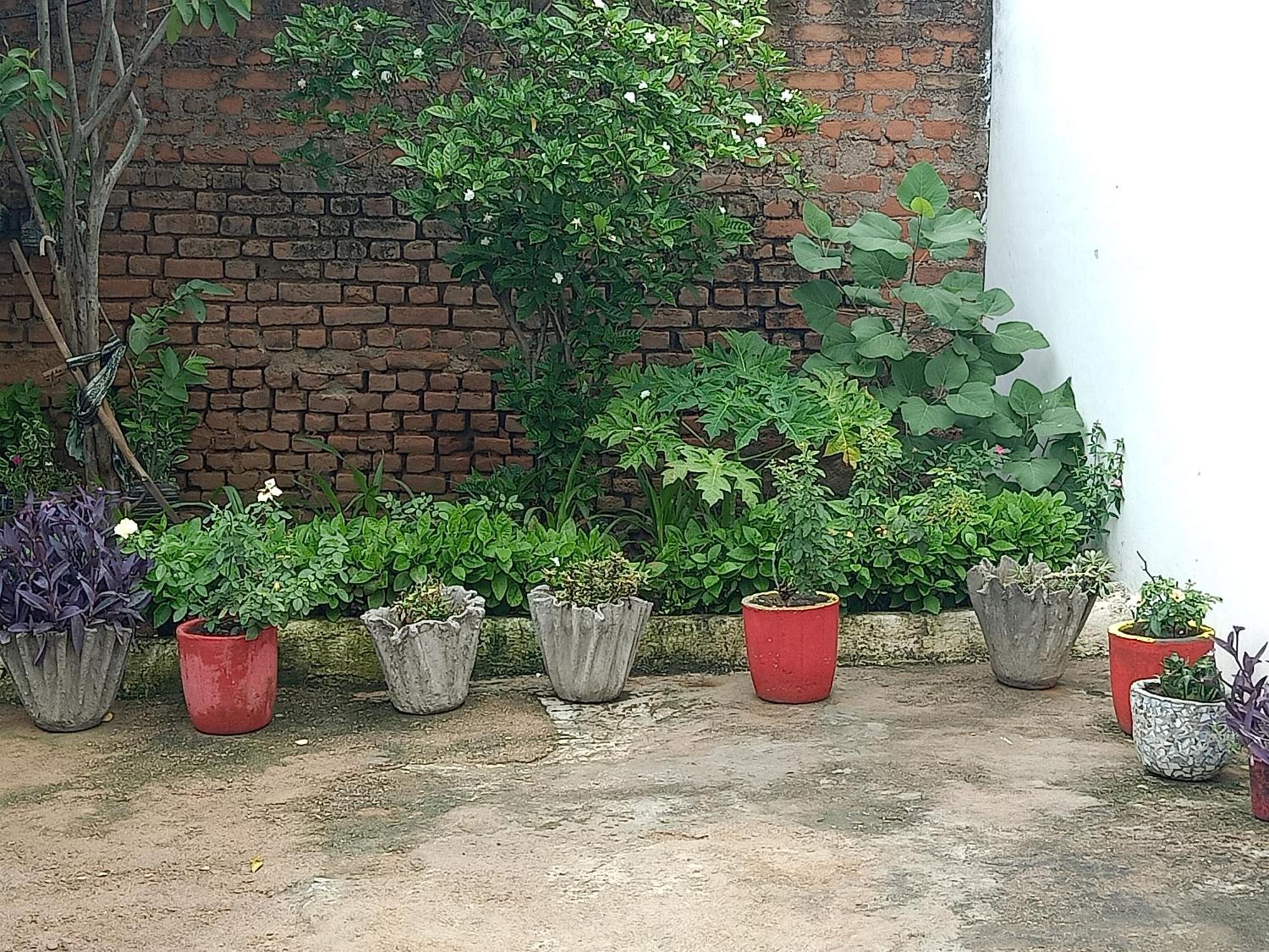 Khajuraho Rancho Leilighet Eksteriør bilde