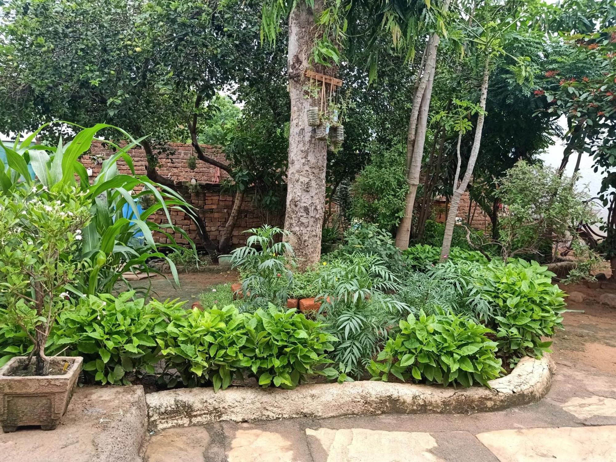 Khajuraho Rancho Leilighet Eksteriør bilde