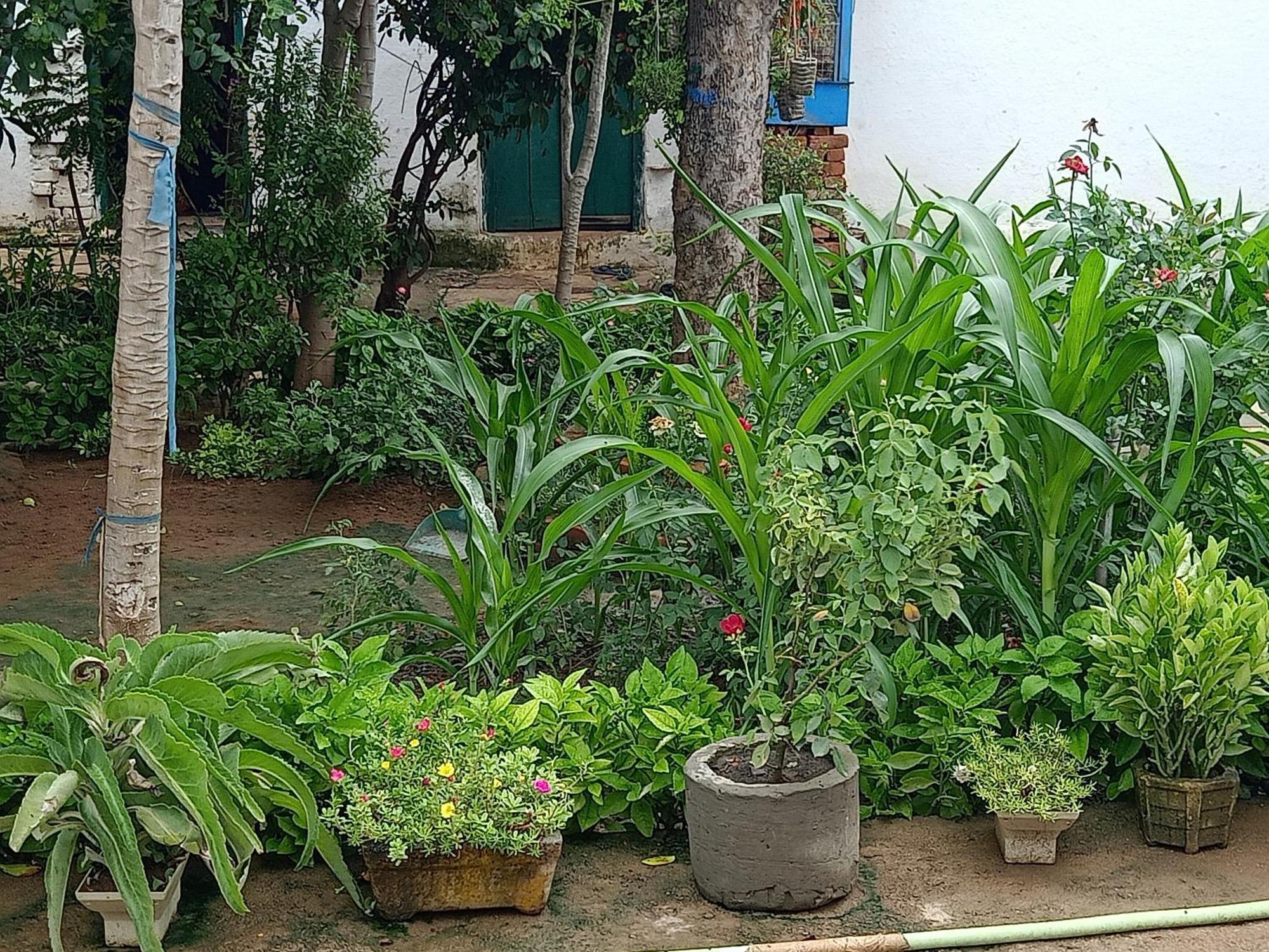 Khajuraho Rancho Leilighet Eksteriør bilde