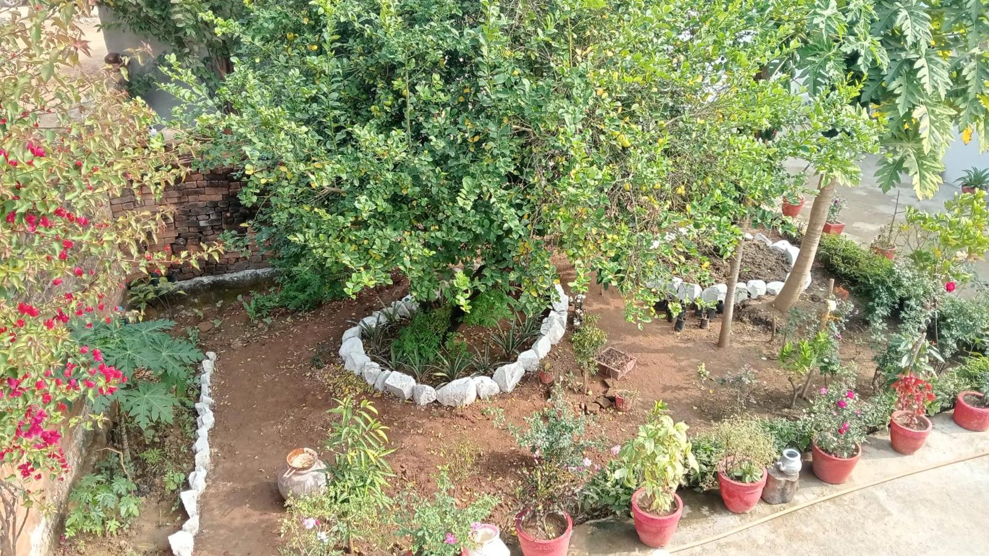 Khajuraho Rancho Leilighet Eksteriør bilde
